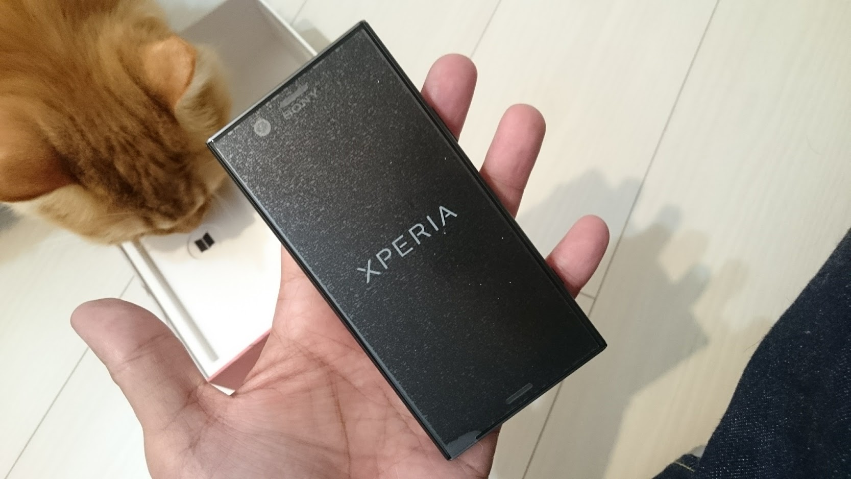 Xperia XZ1 compactの液晶面（フィルムを剥がす前）。